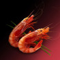 Gamba roja 40/60pzas/kg