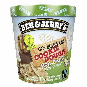 Terrina Ben&Jerry's vegan cookie